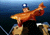 Big Red Char 1